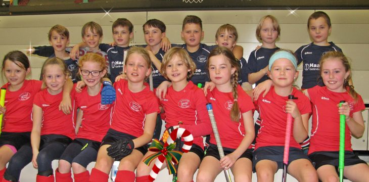 Gemeinsamer Hallenspieltag der Knaben/Mädchen D in Ulm